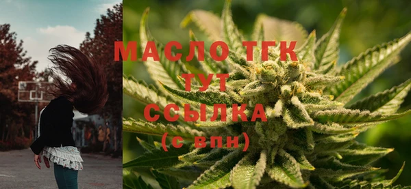дживик Балахна